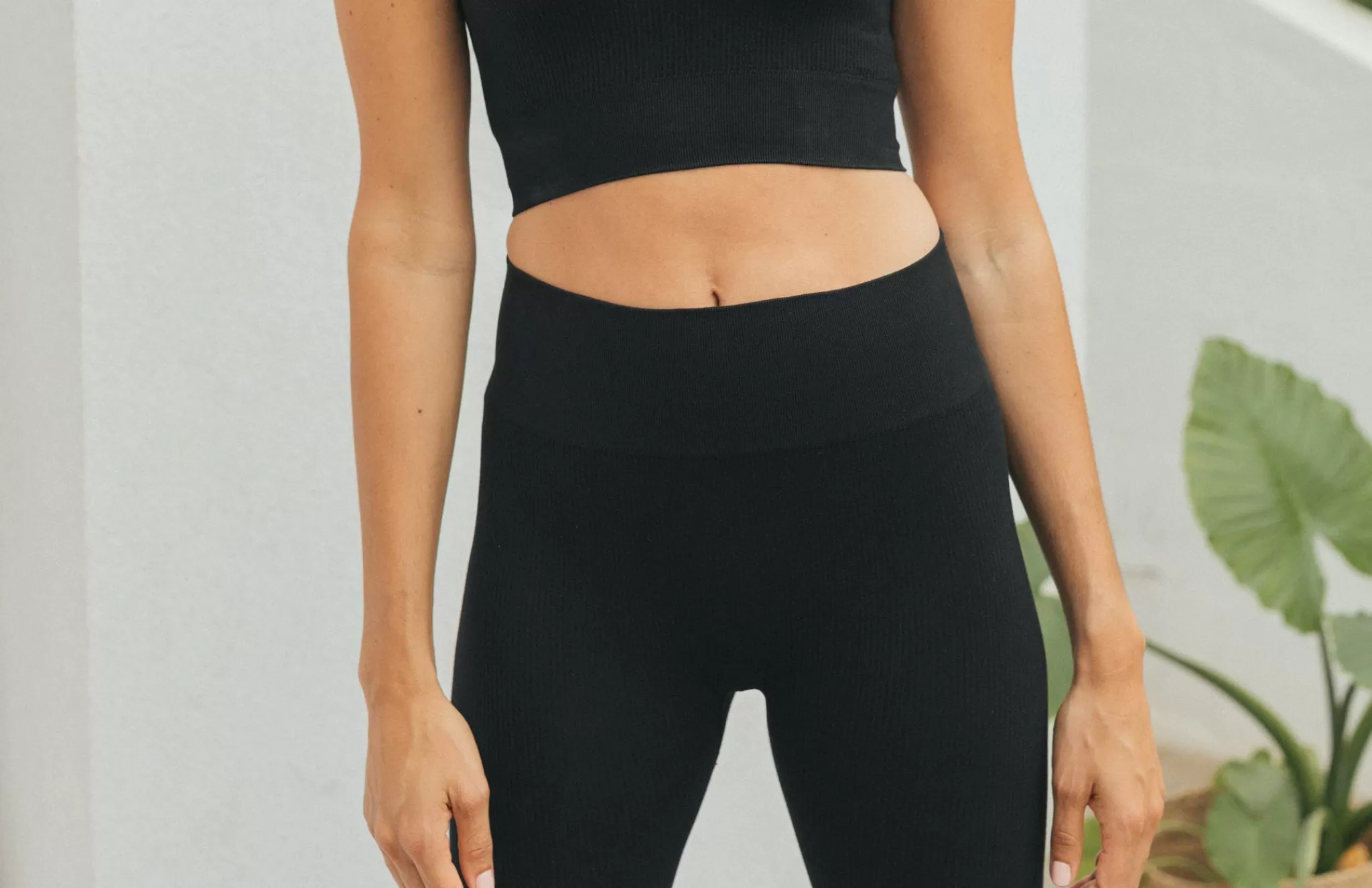 TWOTHIRDS Activewear-Lievre Noir